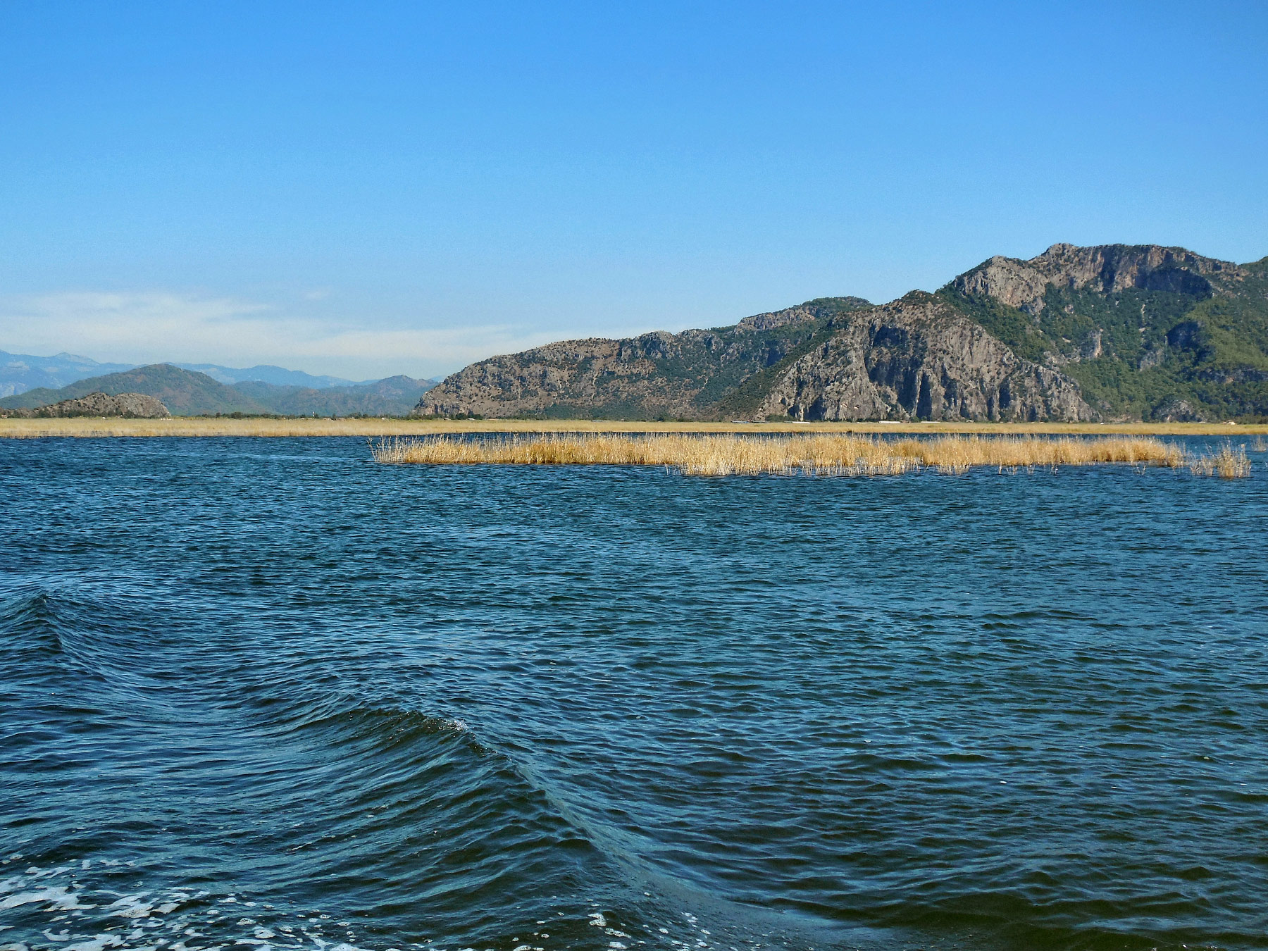 Dalyan